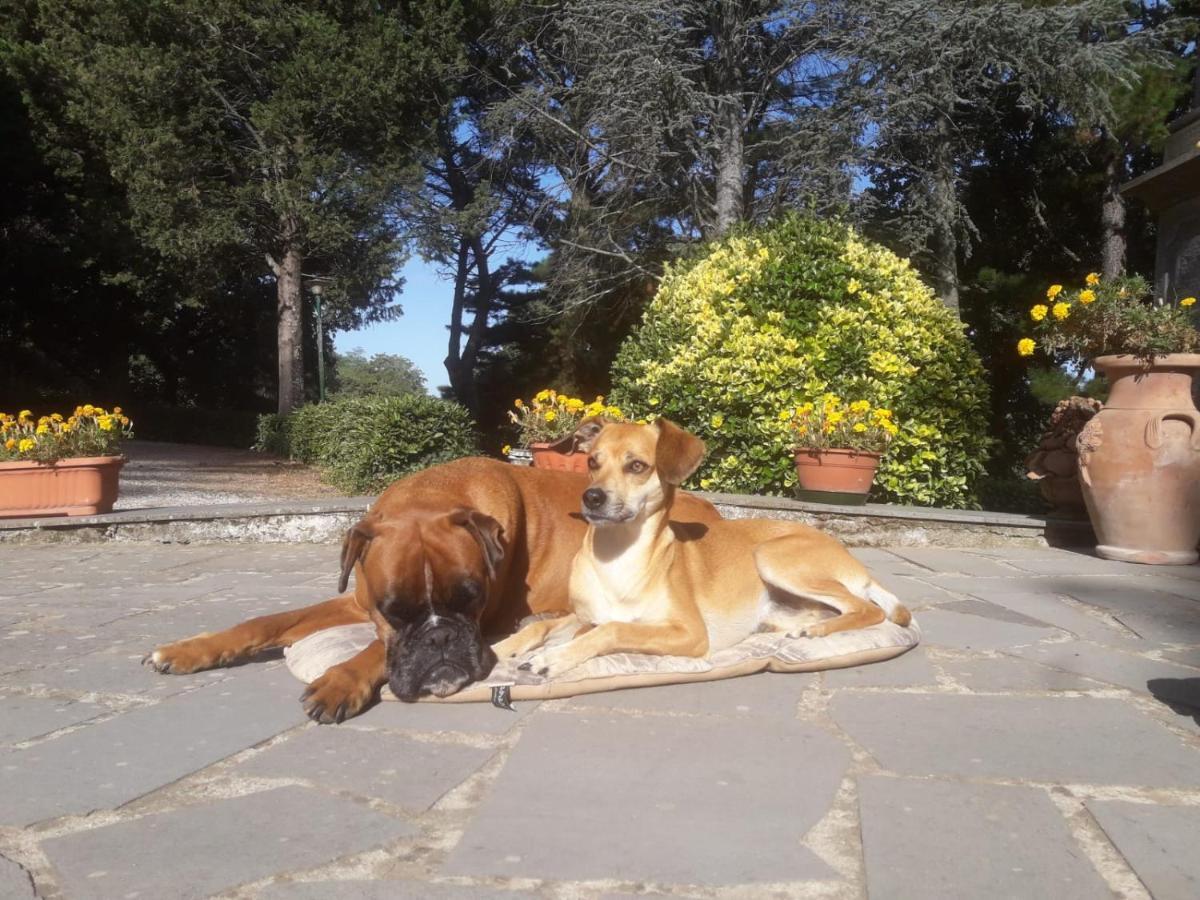 Casal Ponziani Per Civita E Dintorni Bagnoregio Exterior foto